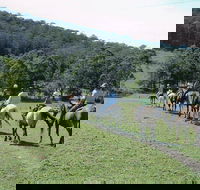 Timbertops - Horse Riding - Local Tourism