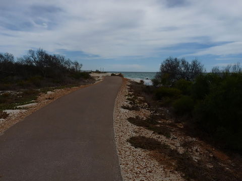 Turquoise Way Trail, Jurien Bay - Local Tourism 0