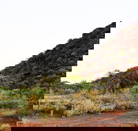Whyalla Conservation Park - Local Tourism