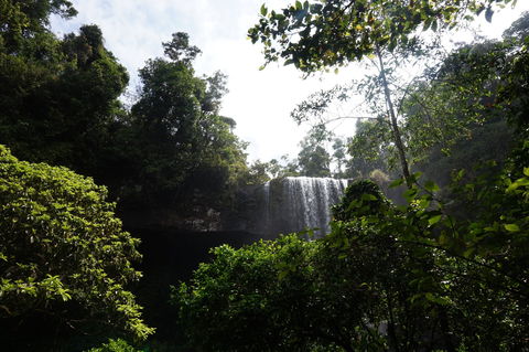 Zillie Falls - Accommodation Australia 1