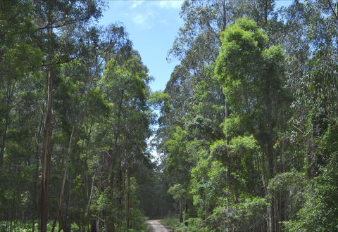 Alfred National Park - Australia Shopping 1