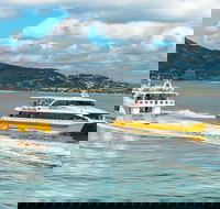 Apex Camps Magnetic Island Group Accommodation Activities and Events - Local Tourism