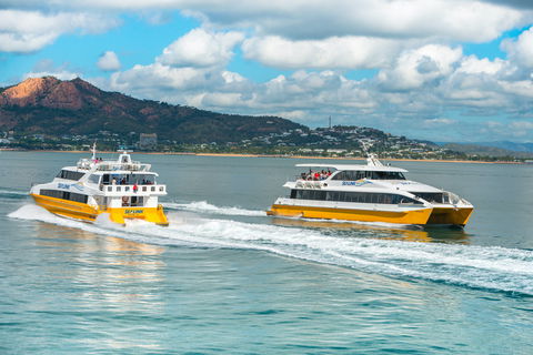 Apex Camps Magnetic Island Group Accommodation, Activities And Events - Accommodation Australia 0