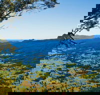 Blackbutt Lookout Picnic Area - Local Tourism