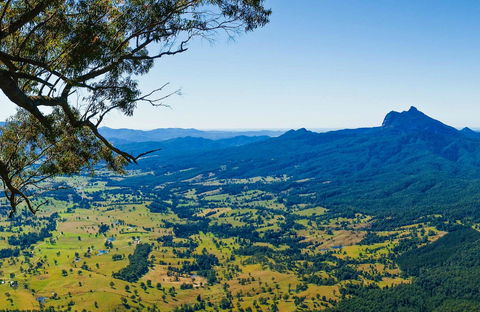 Blackbutt Lookout Picnic Area - Local Tourism 0