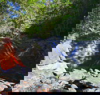 Booloumba Falls Walk Conondale National Park - Local Tourism