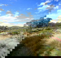 Bullocks walking track - Bed n Breakfasts