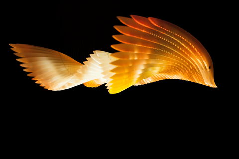 Bunjilaka Aboriginal Cultural Centre - Australia Shopping 1