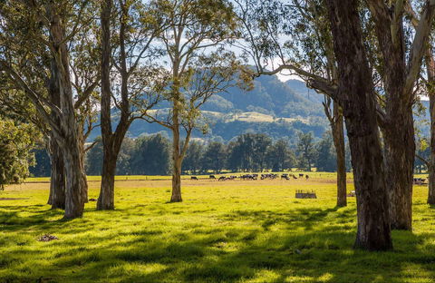 Coast To The Highlands Scenic Drive – Kangaroo Valley - Australia Shopping 0