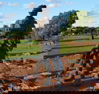 Cobar Miners Heritage Park - Accommodation Australia