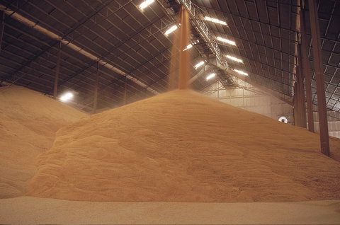 Co-operative Bulk Handling (CBH) Wheat Storage And Transfer Depot - Local Tourism 2