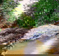 Currumbin Rock Pools - Local Tourism