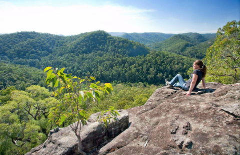 Dubbo Gully Loop Trail - Accommodation Australia 0
