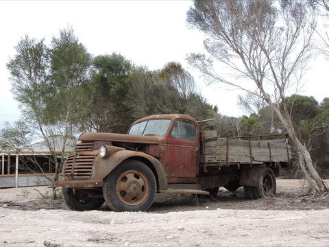 Emu Ridge Eucalyptus Pty Ltd - Accommodation Australia 2
