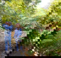 Endeavour Fern Gully Walks - Local Tourism