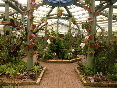 Family Fun In Mackay City - Australia Shopping 1