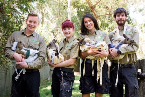 Featherdale Wildlife Park - Accommodation Australia 0