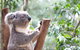 Featherdale Wildlife Park - thumb 1