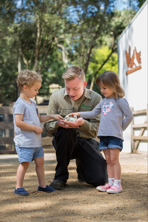 Featherdale Wildlife Park - Accommodation Australia 2