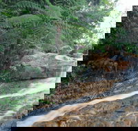 Finch Hatton - Australia Shopping