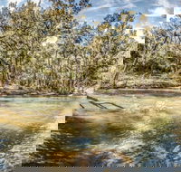 Flea Creek Picnic Area - Accommodation Australia
