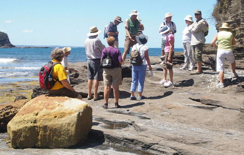 Gondwana Coast Fossil Walk - Accommodation Australia 0