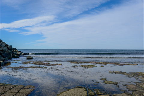 Gondwana Coast Fossil Walk - Accommodation Australia 1