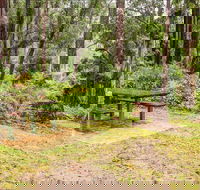 Goodenia Rainforest picnic area - Accommodation Australia