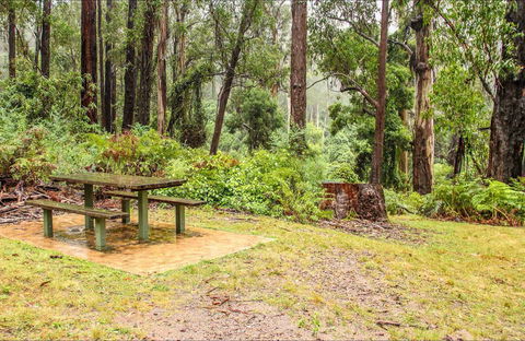 Goodenia Rainforest Picnic Area - Accommodation Australia 0