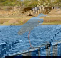 Groper Creek - Local Tourism