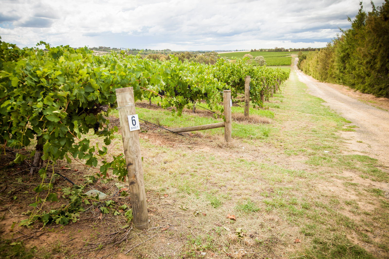 Young NSW Accommodation Australia