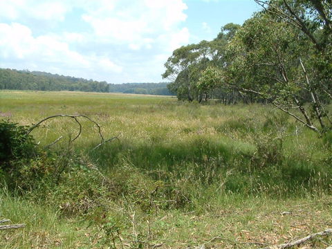 Hume And Hovell Walking Track - Australia Shopping 2