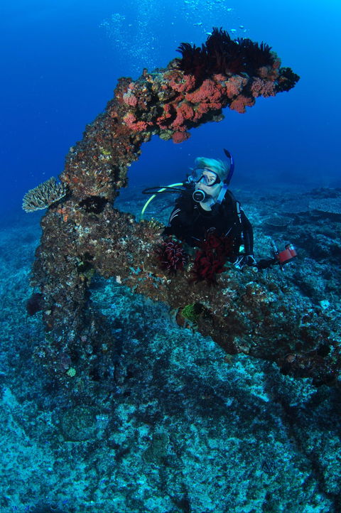 Hutchinson Shoal Dive Site - Local Tourism 1
