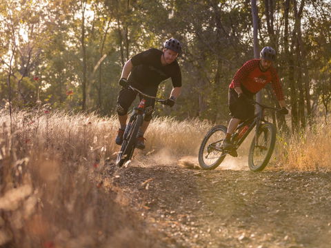 Kholo Gardens Trails - Accommodation Australia 0