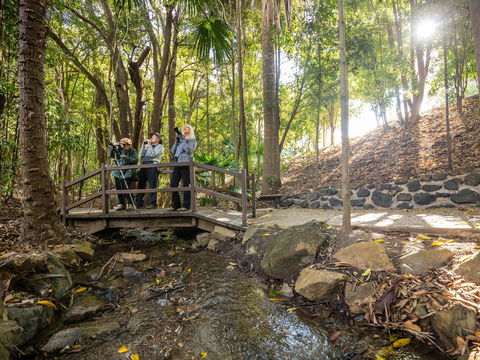 Kholo Gardens Trails - Accommodation Australia 1