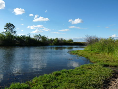 Lagoon Creek - Accommodation Australia 2