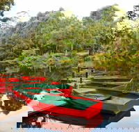 Lane Cove National Park - Local Tourism