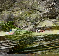 Leura Cascades - Australia Shopping