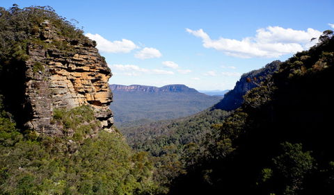 Leura Cascades - Accommodation Australia 1