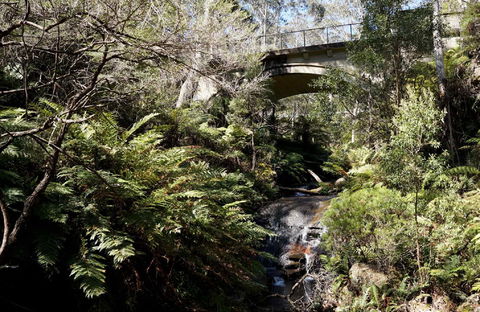 Leura Cascades - Accommodation Australia 2