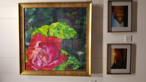 Macleay Valley Community Art Gallery - Accommodation Australia 0