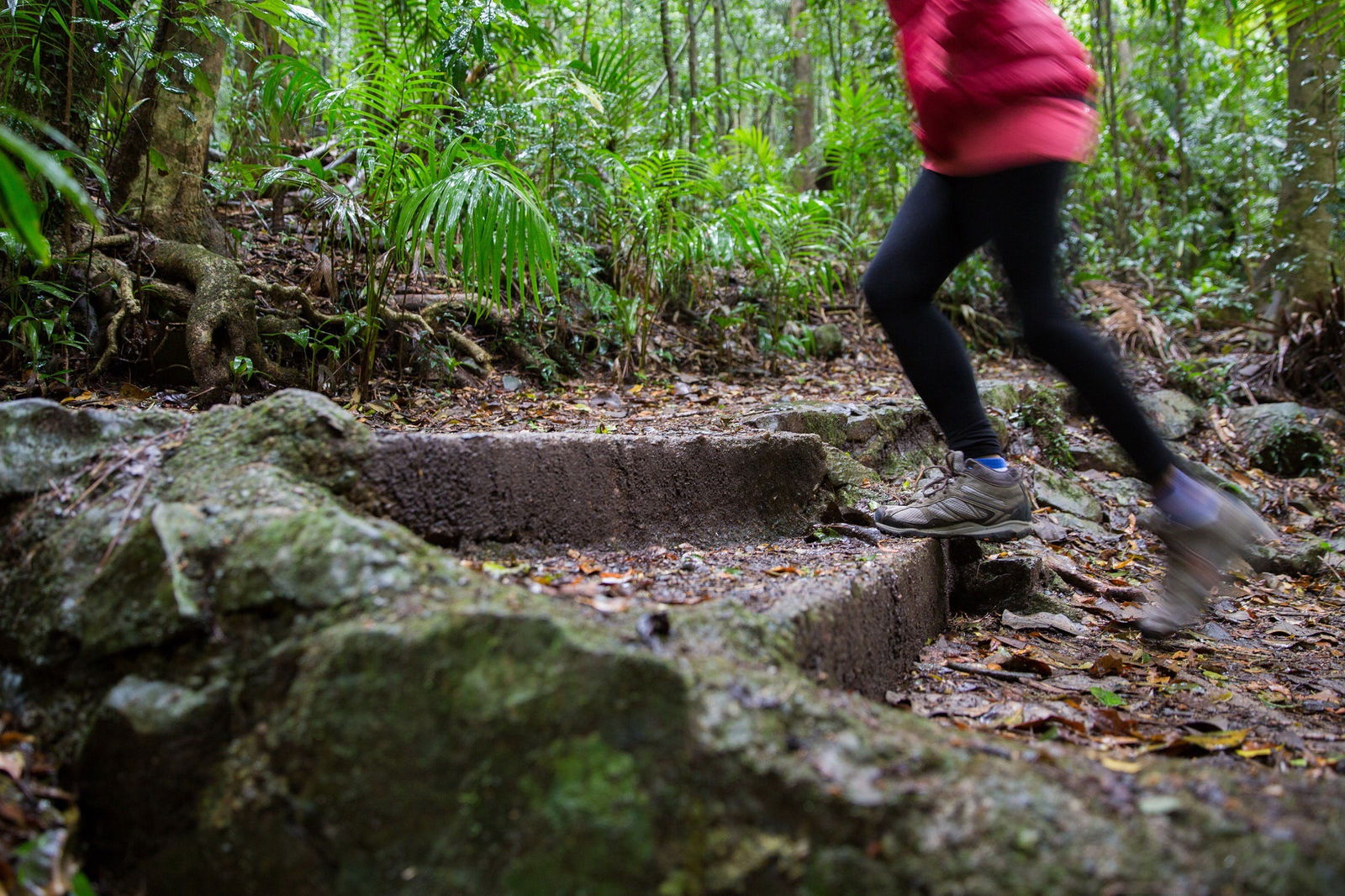 Mount Glorious QLD Local Tourism