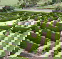Mintaro Maze - Local Tourism