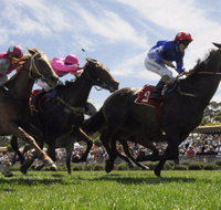 Moruya Racecourse - Accommodation Australia