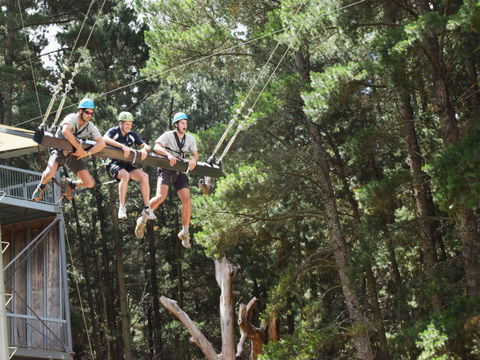 Mount Lofty Adventure Hub - Local Tourism 1