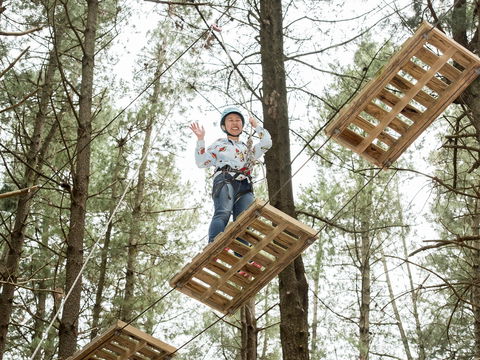 Mount Lofty Adventure Hub - Local Tourism 2