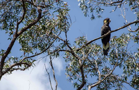 Mummel Gulf National Park - Local Tourism 0