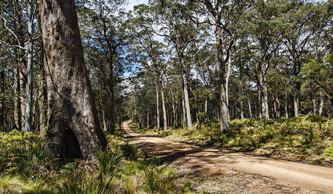 Mummel Gulf National Park - Local Tourism 1