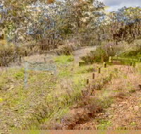 Old Mountain Road Walking Track - Accommodation Australia