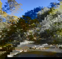 Pipers River Board Walk - Local Tourism